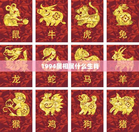 1994年生肖|1994年属什么生肖